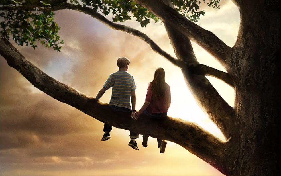 怦然心动 Flipped (2010)